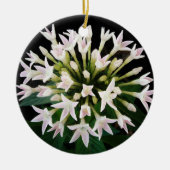 Witte Pentas Keramisch Ornament (Voorkant)