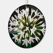 Witte Pentas Keramisch Ornament (Links)