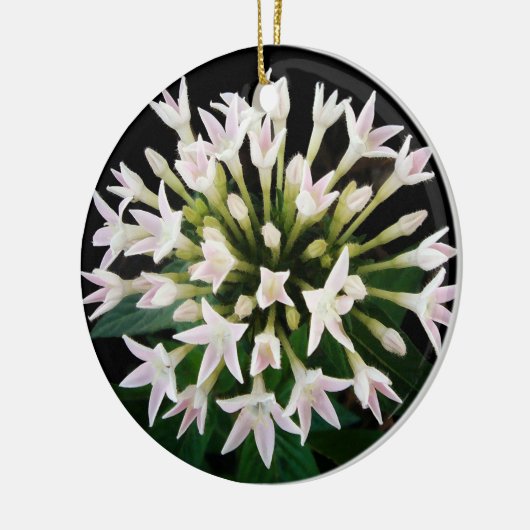 Witte Pentas Keramisch Ornament (Links)
