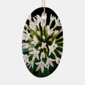 Witte Pentas Keramisch Ornament (Rechts)