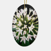 Witte Pentas Keramisch Ornament (Links)