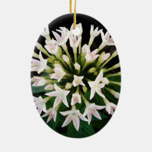 Witte Pentas Keramisch Ornament