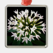 Witte Pentas Metalen Ornament (Voorkant)
