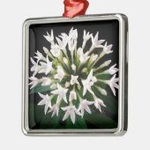 Witte Pentas Metalen Ornament (Links)