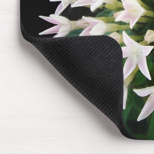 Witte Pentas Muismat (Hoek)