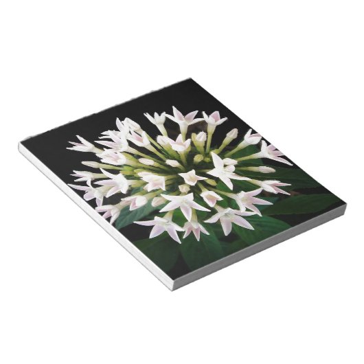 Witte Pentas Notitieblok (Schuin)