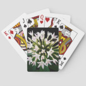 Witte Pentas Pokerkaarten (Achterkant)