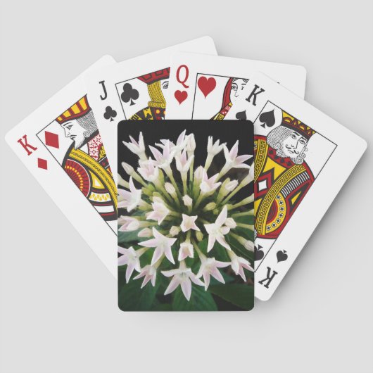 Witte Pentas Pokerkaarten (Achterkant)