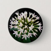 Witte Pentas Ronde Button 5,7 Cm (Voorkant)