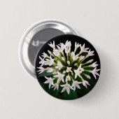 Witte Pentas Ronde Button 5,7 Cm (Voorkant /achterkant)