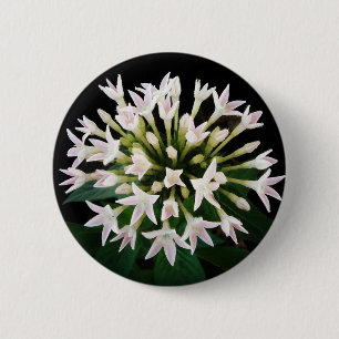 Witte Pentas Ronde Button 5,7 Cm
