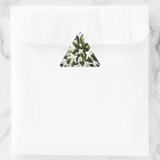 Witte Pentas Sticker (Tas)