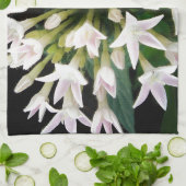 Witte Pentas Theedoek (Gevouwen)