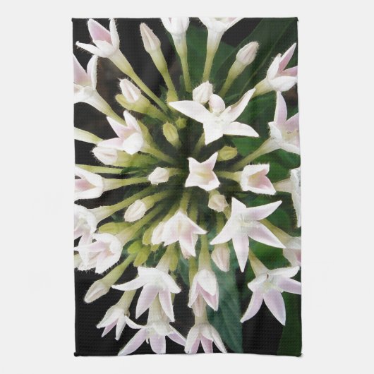 Witte Pentas Theedoek (Verticaal)