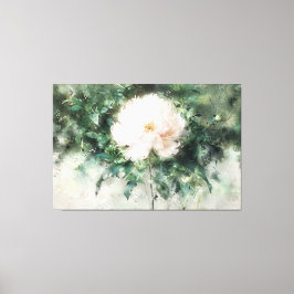 *~* Witte PEONY TV2 Kunst Uitgerekte Canvas Print