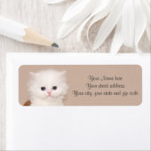 Witte persiaanse kitten etiket (Insitu)