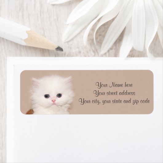 Witte persiaanse kitten etiket (Insitu)