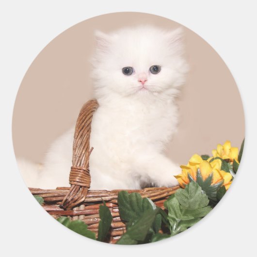 Witte persiaanse kitten ronde sticker (Voorkant)