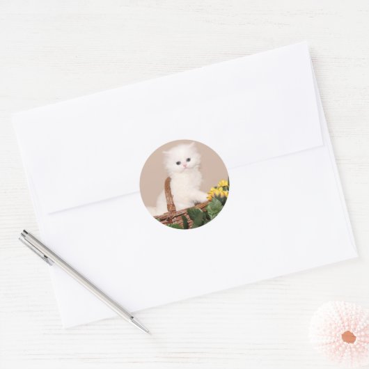 Witte persiaanse kitten ronde sticker (Envelop)