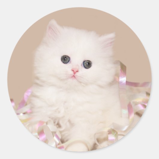 Witte persiaanse kitten ronde sticker (Voorkant)