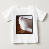 Witte Perzische baby (Voorkant)