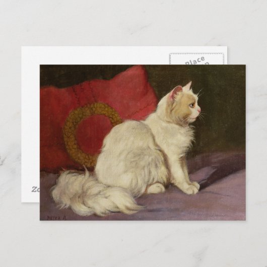 Witte Perzische kat Briefkaart (Voorkant / Achterkant)