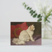 Witte Perzische kat Briefkaart (Staand voorkant)