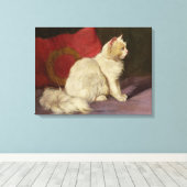 Witte Perzische kat Canvas Afdruk (Insitu (Houten vloer))