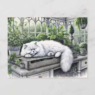 Witte Perzische kat die rust in een zonovergoten k Briefkaart