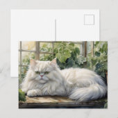 Witte Perzische kat in een tuin Briefkaart (Voorkant / Achterkant)