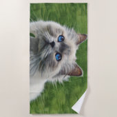 Witte Perzische kat met blauwe ogen Strandlaken (Voorkant)