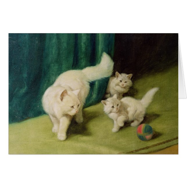 Witte Perzische kat met twee Kittens (Voorkant Horizontaal)