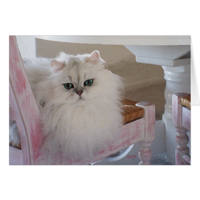 Witte Perzische Kat op een Roze Stoel (Voorkant Horizontaal)