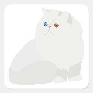 witte perzische kat vierkante sticker