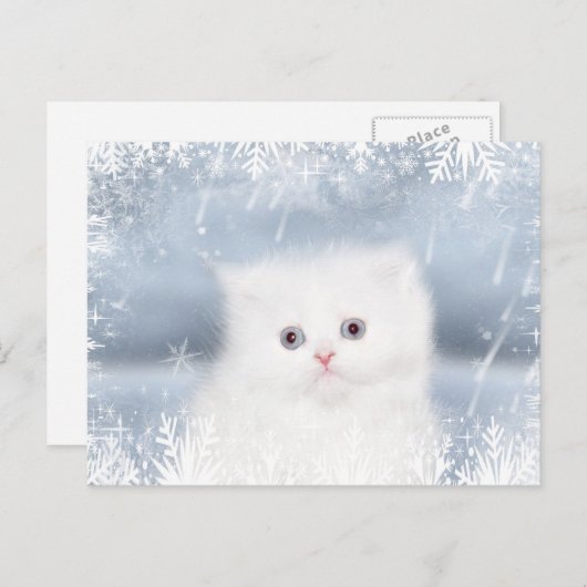 Witte Perzische katjesKerstmis Feestdagenkaart (Voorkant / Achterkant)