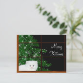 Witte perzische katkerst feestdagenkaart (Staand voorkant)