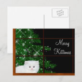 Witte perzische katkerst feestdagenkaart (Voorkant / Achterkant)