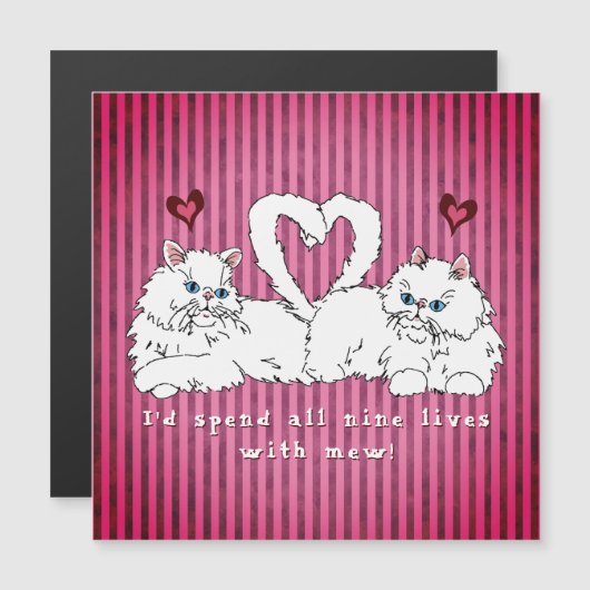 Witte Perzische katten met harten Valentijns (Voorkant / Achterkant)