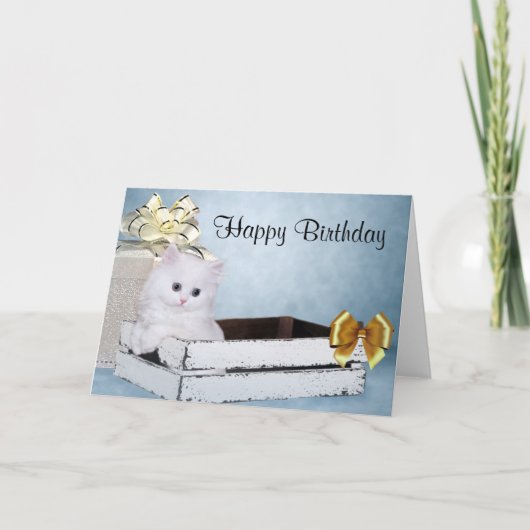Witte Perzische kattenjongen Kaart (Voorkant)