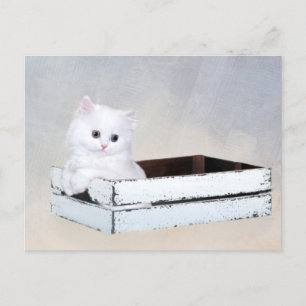 Witte Perzische kitten Briefkaart