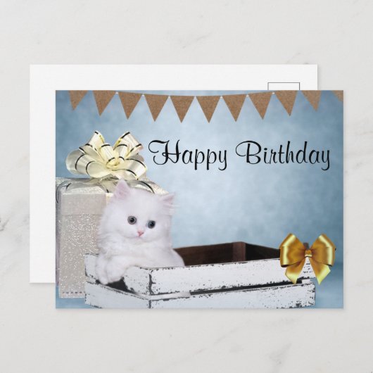 Witte Perzische kitten Verjaardag Briefkaart (Voorkant / Achterkant)