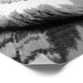 Witte Perzische Slaapkat Poster (Hoek)