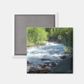 Witte petten. magneet (Voorkant / Achterkant)