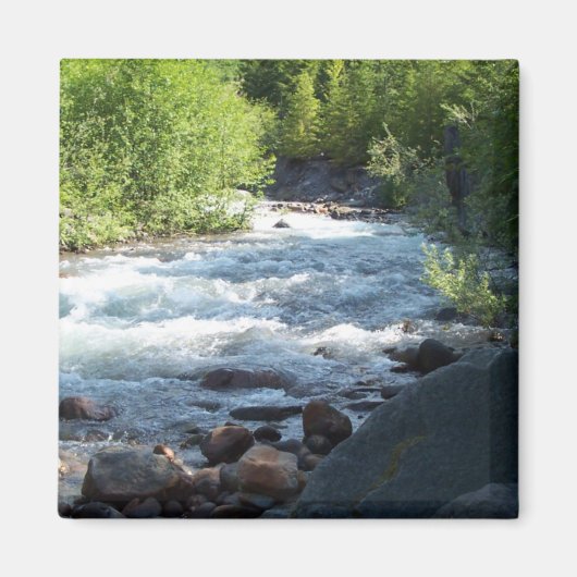 Witte petten. magneet (Voorkant)