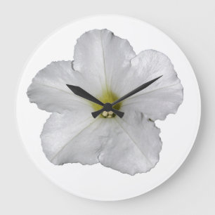 Witte Petunia Bloem Bloem Kerst Decoratie Cute Grote Klok