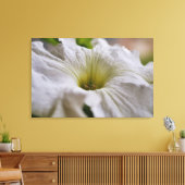 Witte Petunia Bloem Fotografische Kunst Canvas Afdruk (Insitu (Woonkamer))