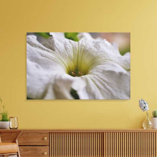Witte Petunia Bloem Fotografische Kunst Canvas Afdruk (Insitu (Woonkamer))