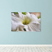Witte Petunia Bloem Fotografische Kunst Canvas Afdruk (Insitu (Houten vloer))