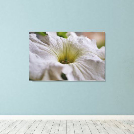 Witte Petunia Bloem Fotografische Kunst Canvas Afdruk (Insitu (Houten vloer))