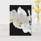 Witte phalaenopsis Orchidae Kaart (Gele Bloem)